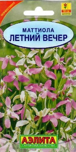 Маттиола Летний вечер, семена Аэлита 0,5г