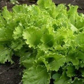 ΡΠ°Π»Π°Ρ Π±ΡΠΊΠ΅Ρ ΡΠ΅ΠΌΠ΅Π½Π° ΠΎΠΏΠΈΡΠ°Π½ΠΈΠ΅. Π‘ΠΌΠΎΡΡΠ΅ΡΡ ΡΠΎΡΠΎ ΡΠ°Π»Π°Ρ Π±ΡΠΊΠ΅Ρ ΡΠ΅ΠΌΠ΅Π½Π° ΠΎΠΏΠΈΡΠ°Π½ΠΈΠ΅. Π‘ΠΌΠΎΡΡΠ΅ΡΡ ΠΊΠ°ΡΡΠΈΠ½ΠΊΡ ΡΠ°Π»Π°Ρ Π±ΡΠΊΠ΅Ρ ΡΠ΅ΠΌΠ΅Π½Π° ΠΎΠΏΠΈΡΠ°Π½ΠΈΠ΅. ΠΠ°ΡΡΠΈΠ½ΠΊΠ° ΠΏΡΠΎ ΡΠ°Π»Π°Ρ Π±ΡΠΊΠ΅Ρ ΡΠ΅ΠΌΠ΅Π½Π° ΠΎΠΏΠΈΡΠ°Π½ΠΈΠ΅. Π€ΠΎΡΠΎ ΡΠ°Π»Π°Ρ Π±ΡΠΊΠ΅Ρ ΡΠ΅ΠΌΠ΅Π½Π° ΠΎΠΏΠΈΡΠ°Π½ΠΈΠ΅ ΡΠ°Π»Π°Ρ Π±ΡΠΊΠ΅Ρ ΡΠ΅ΠΌΠ΅Π½Π° ΠΎΠΏΠΈΡΠ°Π½ΠΈΠ΅. Π‘ΠΌΠΎΡΡΠ΅ΡΡ ΡΠΎΡΠΎ ΡΠ°Π»Π°Ρ Π±ΡΠΊΠ΅Ρ ΡΠ΅ΠΌΠ΅Π½Π° ΠΎΠΏΠΈΡΠ°Π½ΠΈΠ΅. Π‘ΠΌΠΎΡΡΠ΅ΡΡ ΠΊΠ°ΡΡΠΈΠ½ΠΊΡ ΡΠ°Π»Π°Ρ Π±ΡΠΊΠ΅Ρ ΡΠ΅ΠΌΠ΅Π½Π° ΠΎΠΏΠΈΡΠ°Π½ΠΈΠ΅. ΠΠ°ΡΡΠΈΠ½ΠΊΠ° ΠΏΡΠΎ ΡΠ°Π»Π°Ρ Π±ΡΠΊΠ΅Ρ ΡΠ΅ΠΌΠ΅Π½Π° ΠΎΠΏΠΈΡΠ°Π½ΠΈΠ΅. Π€ΠΎΡΠΎ ΡΠ°Π»Π°Ρ Π±ΡΠΊΠ΅Ρ ΡΠ΅ΠΌΠ΅Π½Π° ΠΎΠΏΠΈΡΠ°Π½ΠΈΠ΅