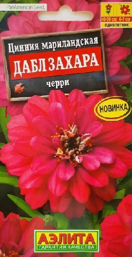 Цинния Дабл Захара черри, семена Аэлита 5шт
