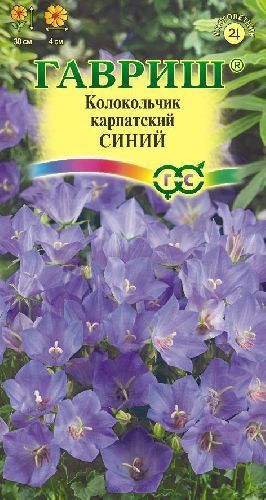 Колокольчик карпатский Синий, семена Гавриш Альпийская горка 0,05г