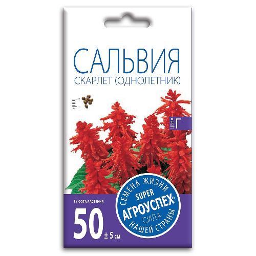 Сальвия Скарлет, семена Агроуспех 0,1г (350)