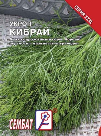 Укроп Кибрай, семена Интерсемя XXXL 15г