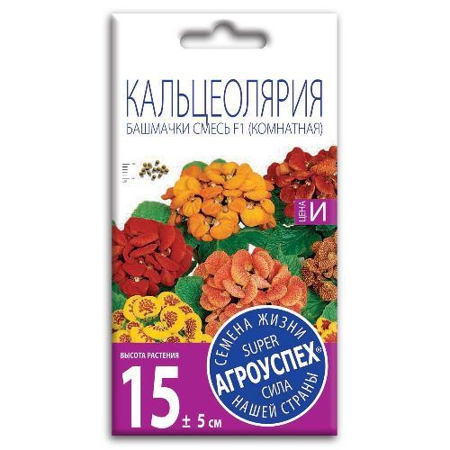 Кальцеолярия Башмачки смесь F1, семена Агроуспех 5шт (100)