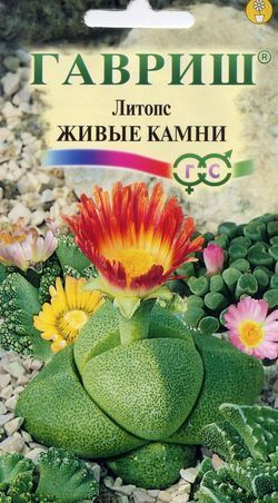 Литопс Живые Камни, семена Гавриш 5шт