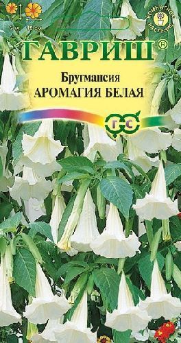 Бругмансия Аромагия белая, семена Гавриш 3шт