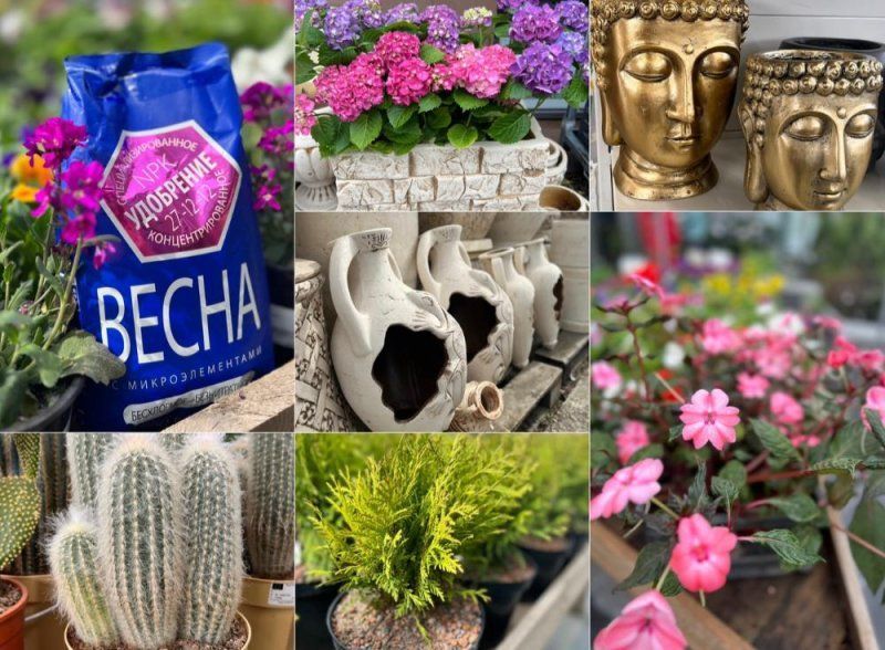 Самый актуальный и сезонный ассортимент ждёт вас в LETTO