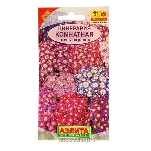 Цинерария Комнатная смесь, семена Аэлита 30шт