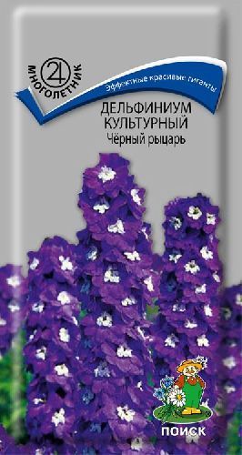 Дельфиниум Черный рыцарь, семена Поиск 0,05г