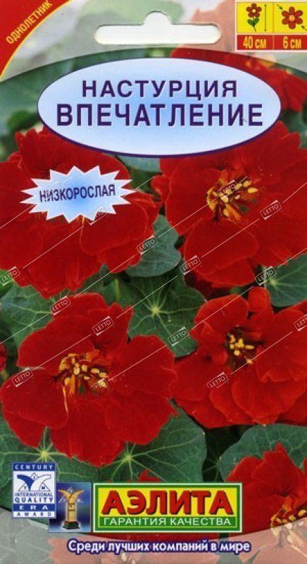 Купить Семена Аэлита От Производителя Интернет Магазин