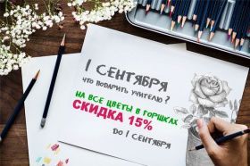 Какие цветы подарить учителю на «1 сентября»?