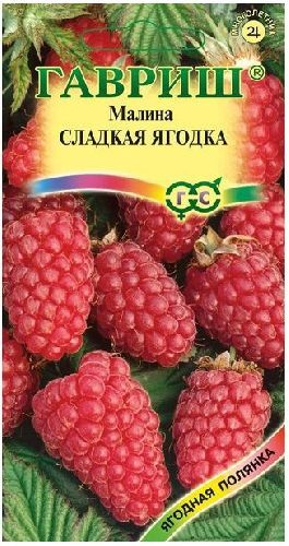 Г/малина Сладкая ягодка *10шт