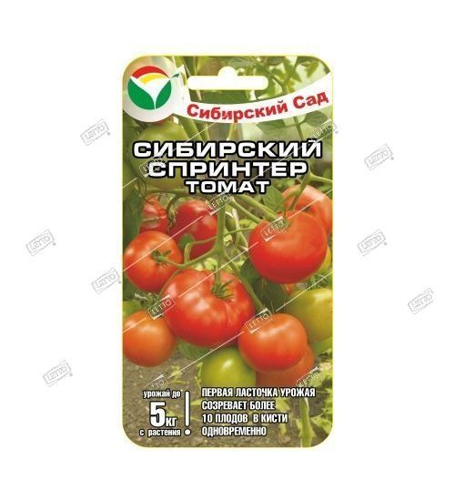 Сибирский Гроздевой Томат Фото Сибирский Гроздевой Томат Фото