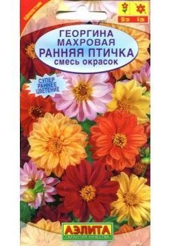 Георгина махровая Ранняя птичка смесь, семена Аэлита 0,3г