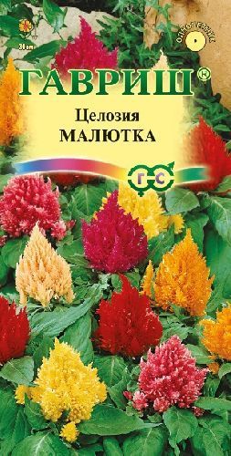 Целозия перистая Малютка смесь, семена Гавриш 0,01г