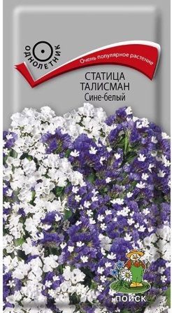 Статица Талисман сине-белый, семена Поиск 0,1г