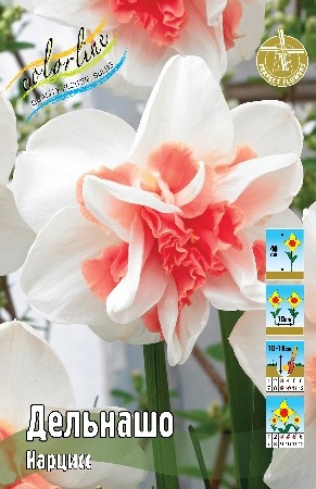 Нарцисс Дельнашо Narcissus Delnashaugh 12/14 5шт, капер, Колорлайн