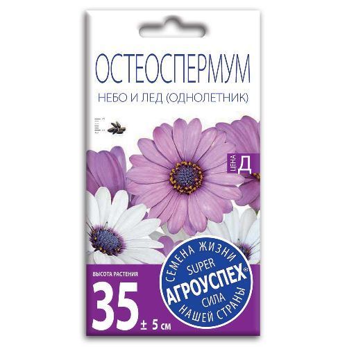 Остеоспермум Небо и лед смесь, семена Агроуспех 0,2г (150)