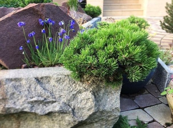 Альпийская горка своими руками