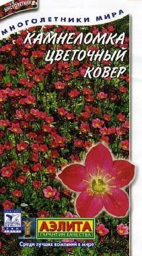 Камнеломка Цветочный ковер, семена Аэлита 0,02г