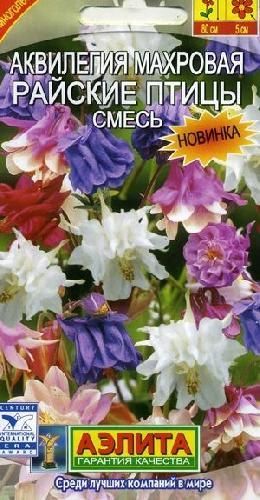 Аквилегия Райские птицы, семена Аэлита 0,2г