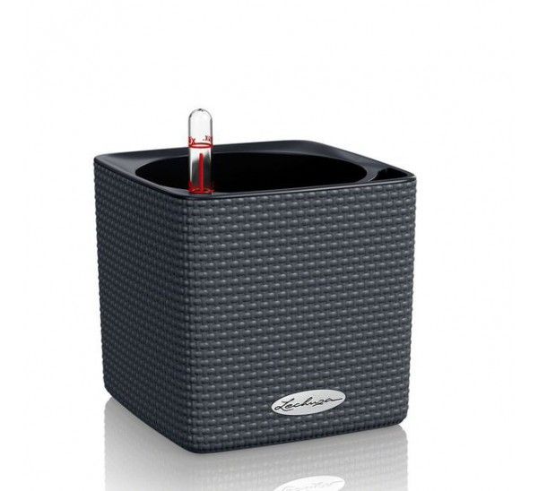 Lechuza_Kashpo_Cube_Color_16_Ceryy_s_avtopolivom000001325_1-600x548.jpg Lechuza_Kashpo_Cube_Color_16_Ceryy_s_avtopolivom000001325_1-600x548.jpg