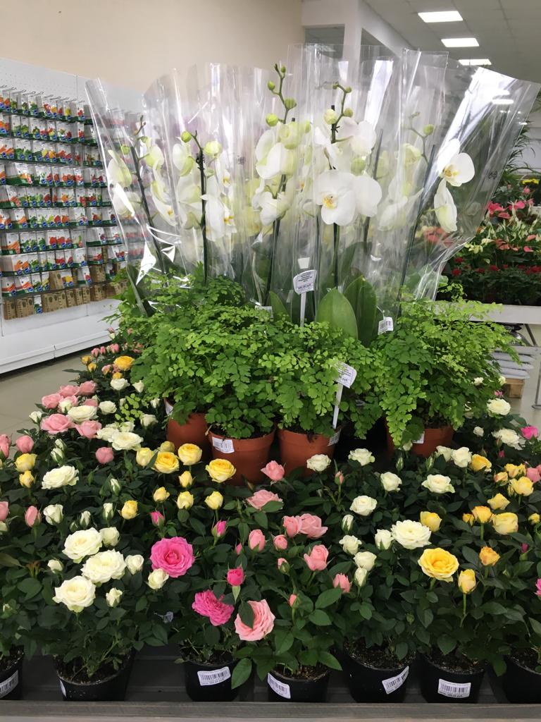 3 WhatsApp Image 2019-07-24 at 11.22.39.jpeg