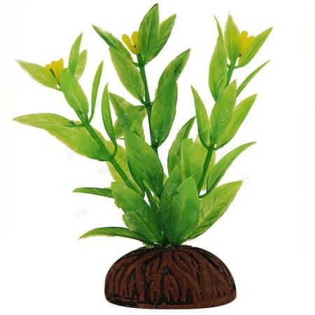 растение "альтернантера" зеленая цветущая 80мм, laguna