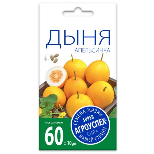 Дыня Апельсинка, семена Агроуспех 10шт (300)