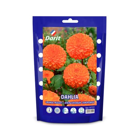 Георгина Апельсиновый самородок Dahlia Orange Nugget, Darit, 1шт