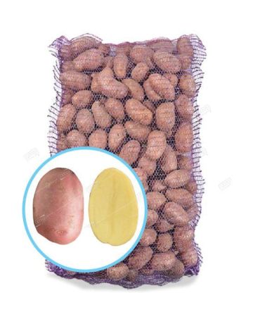 Картофель семенной Алуэт Элита, семена весовые сетка 10кг