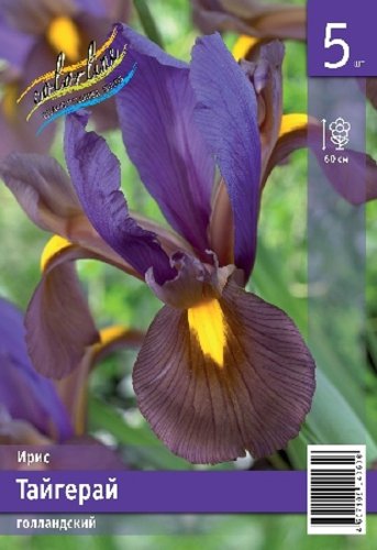 Ирис Голландский Тайгерай Iris hollandicaTigereye 7/8 5шт, капер, Колорлайн