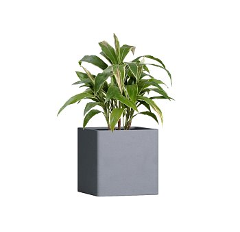 Кашпо файберстоун КВАДРО АРКТИК ГРЕЙ, 40*40*40см, 65л, CONCRETIKA 