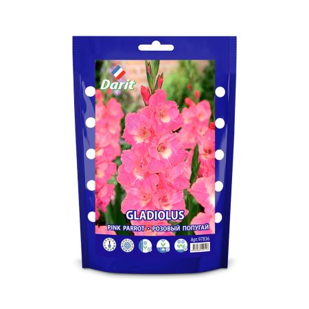 Гладиолус Розовый попугай Gladiolus Pink Parrot 12/+, Darit Дой-пак, 7шт