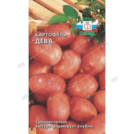 Картофель Дева, семена Седек 0,2г