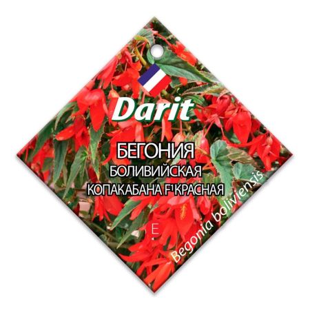 Бегония боливийская Копакабана F1 красная, семена Дарит 7шт (100)