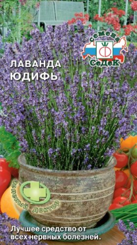 Лаванда Юдифь, семена Седек 0,05г