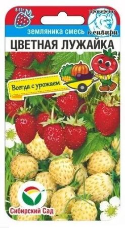 Земляника Цветная лужайка, семена Сибирский сад 10шт