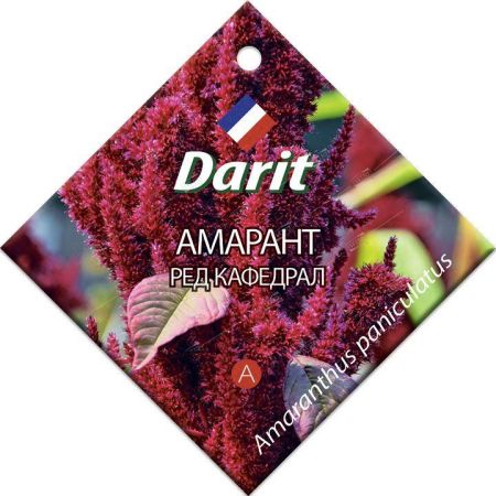 Амарант Ред Кафедрал, семена Дарит 0,3г (350)