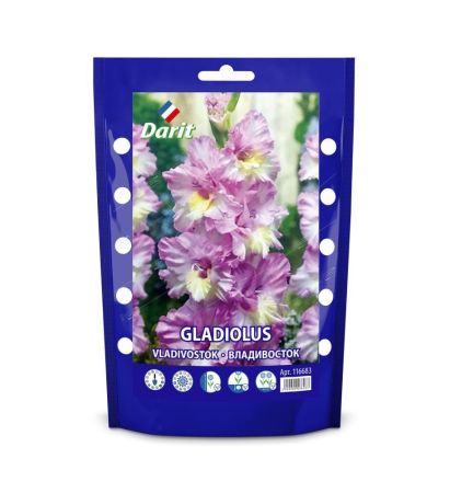 Гладиолус Владивосток Gladiolus Vladivostok 12/+, Darit дой-пак 7шт