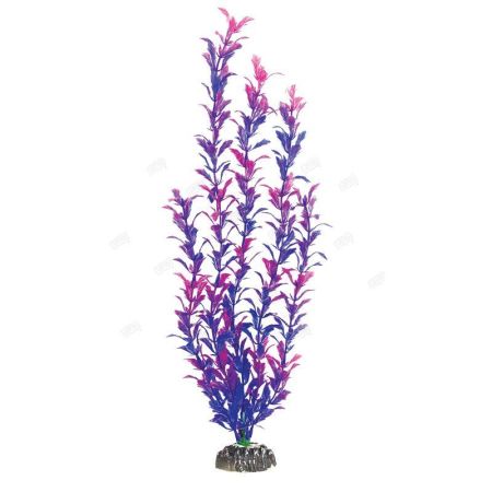 растение "людвигия фиолетовая", 300мм, laguna