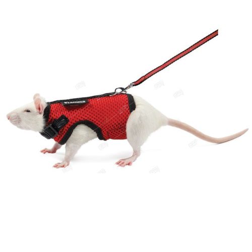Комплект шлейка и поводок для крысы "Лариска", 160*230мм, 41462003, Gamma