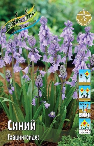 Гиацинтоидес Синий Hyacinthoides hispanica Blue 6/7 10шт, капер, Колорлайн