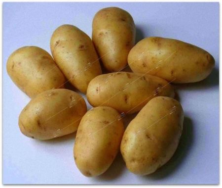 Картофель семенной Голландка РС-1, семена весовые сетка 10кг