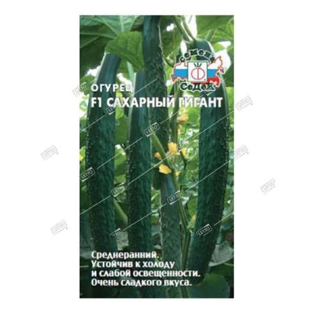 Огурец Сахарный Гигант F1, семена Седек 0,2г