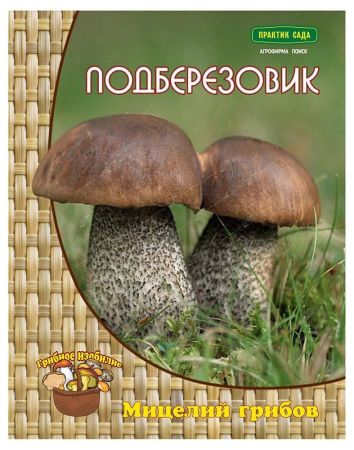 П/грибы Подберезовик *60мл