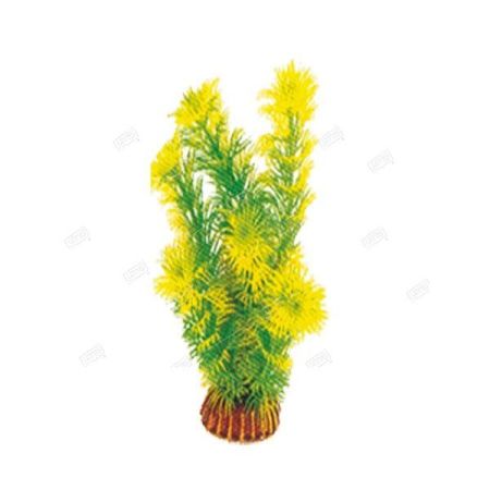 растение "амбулия" жёлто-зеленая, 200мм 74044037 laguna