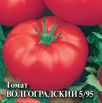 Томат Волгоградский 5/95, семена Гавриш Фермер Профи Крупная фасовка 5г