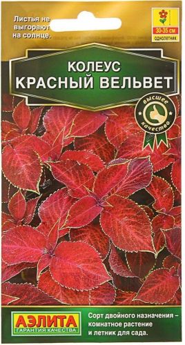 Колеус Красный вельвет, семена Аэлита 5шт