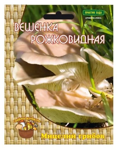 Вешенка рожковидная, мицелий грибов Поиск 12шт