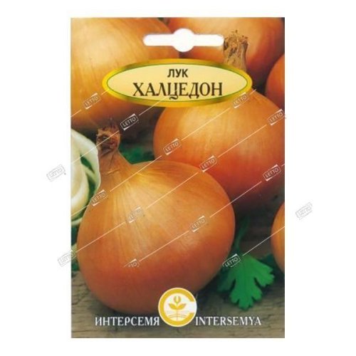 Лук репчатый Халцедон, семена Интерсемя 0,5г